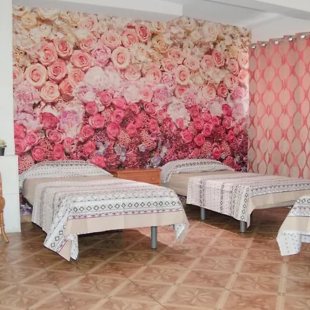 게스트하우스 Ideal Sants